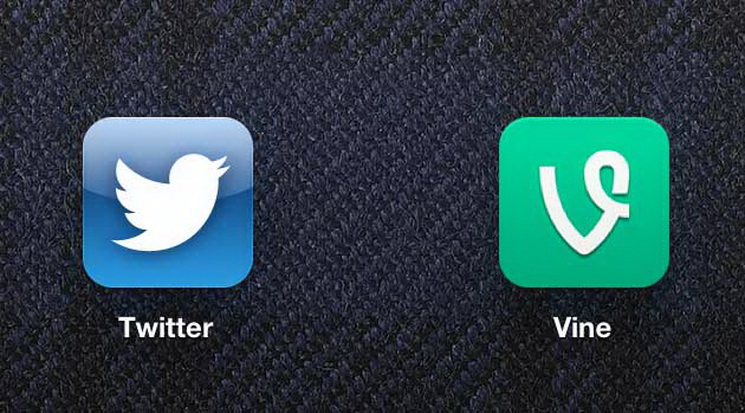 vine-twitter